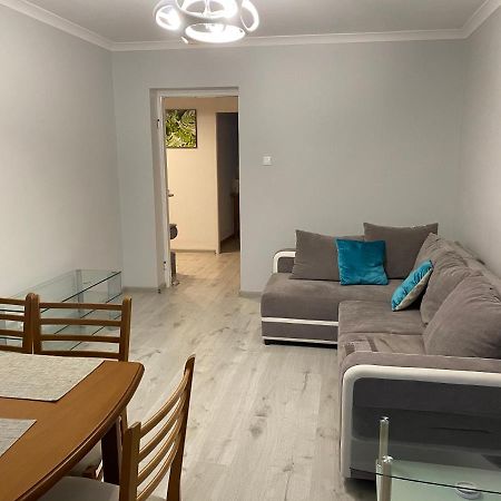 Apartament Przy Katedrze Gorzów Wielkopolski Εξωτερικό φωτογραφία
